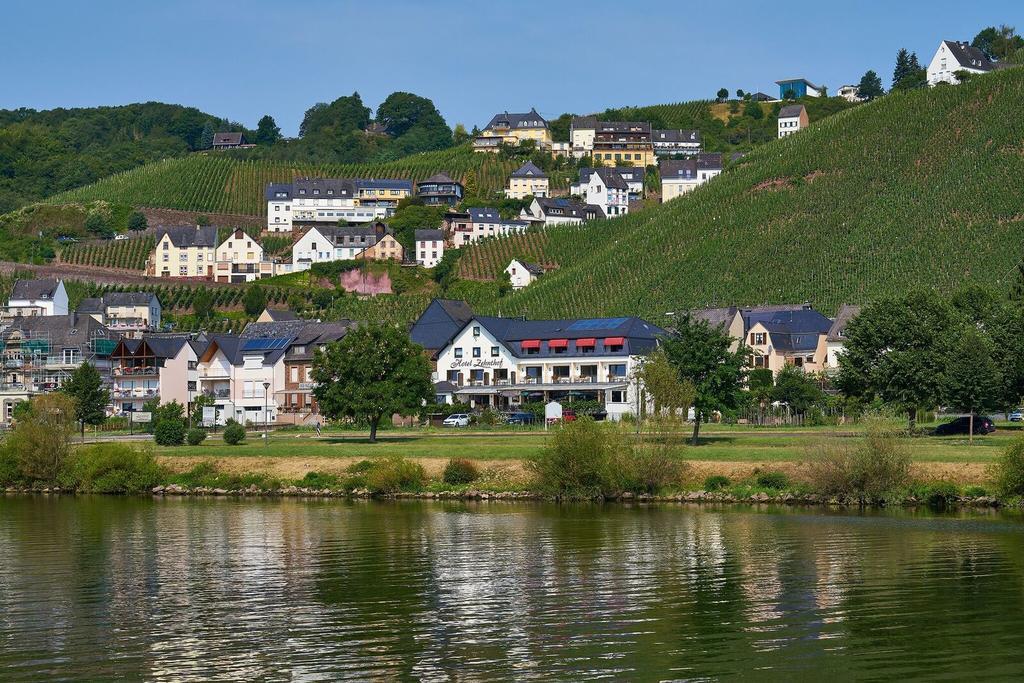 Hotel Zehnthof Ирциг Экстерьер фото